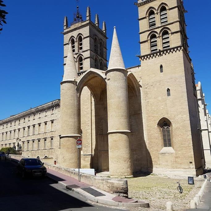 Appartement Cosy Et Calme - Centre Historique Montpellier Zewnętrze zdjęcie